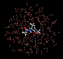 Alanine-dipeptide in water.