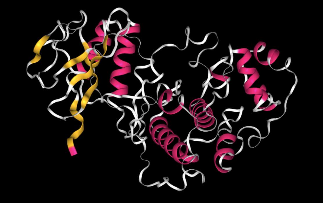 View of the P38 protein