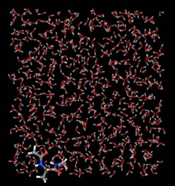 View of the trajectory with all molecules wrapped into the same box