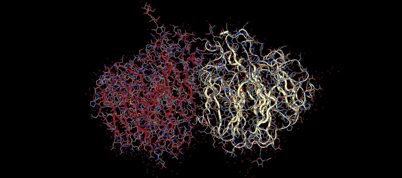 Tube and licorice view of the protein in 3NSS