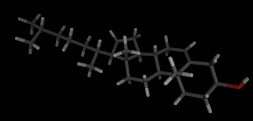 Picture of cholesterol viewed in NGLView